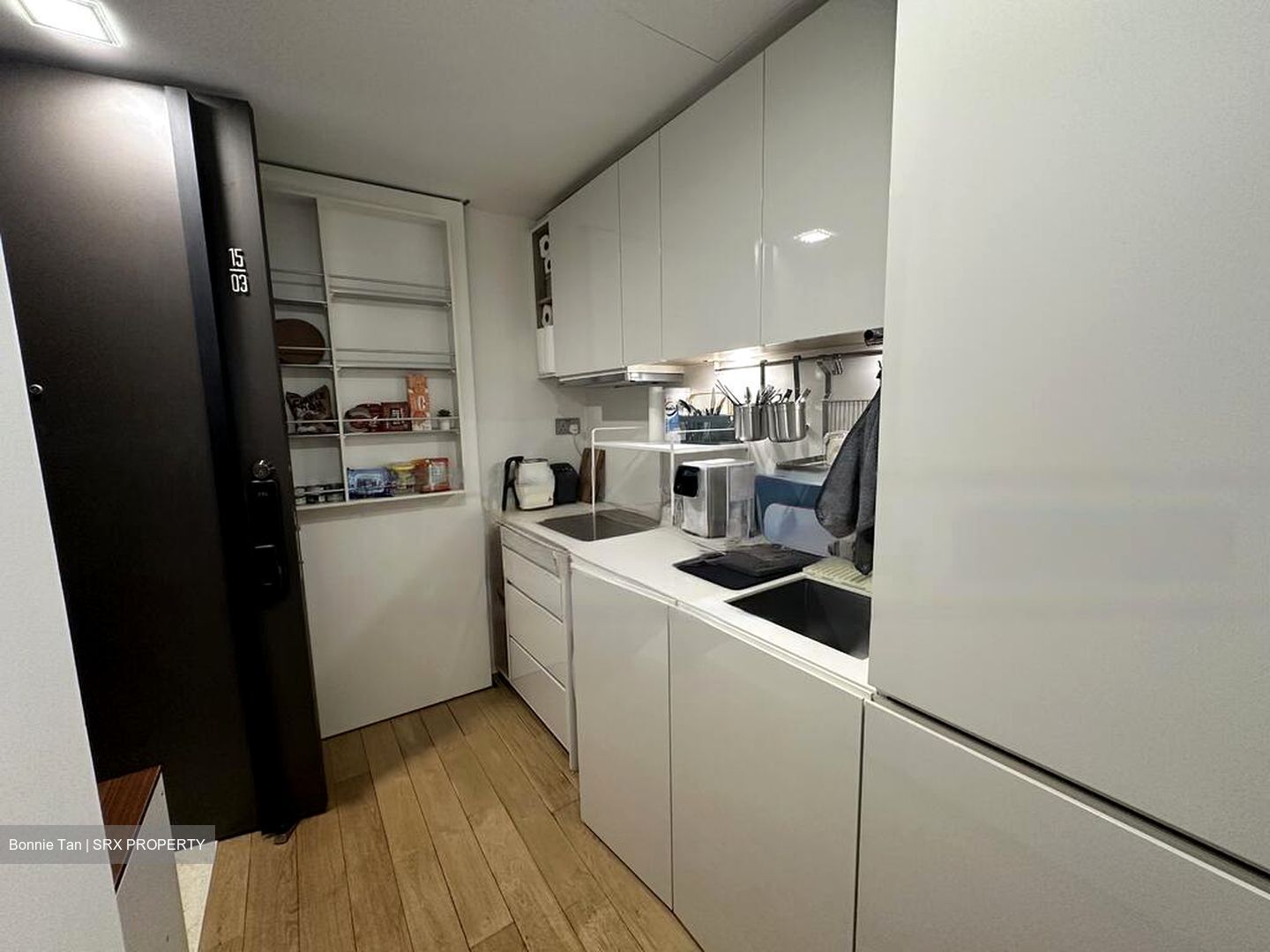 Skysuites@Anson (D2), Apartment #468437191